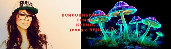 ГАЛЛЮЦИНОГЕННЫЕ ГРИБЫ Сафоново