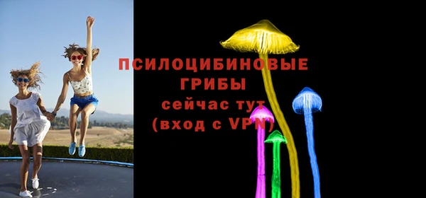 дурь Саяногорск