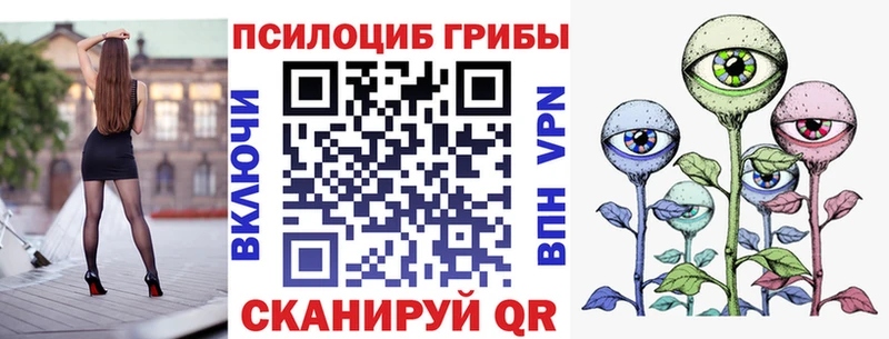 blacksprut ССЫЛКА  Саянск  Галлюциногенные грибы Psilocybine cubensis 